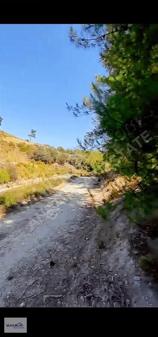 Muğla Seydikemer Seydiler Satılık Müstakil Tapulu Arsa - Görsel 5
