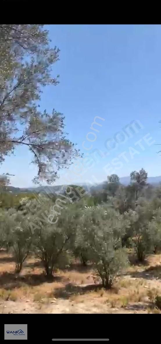 Muğla Seydikemer Seydiler Satılık Müstakil Tapulu Arsa - Görsel 4