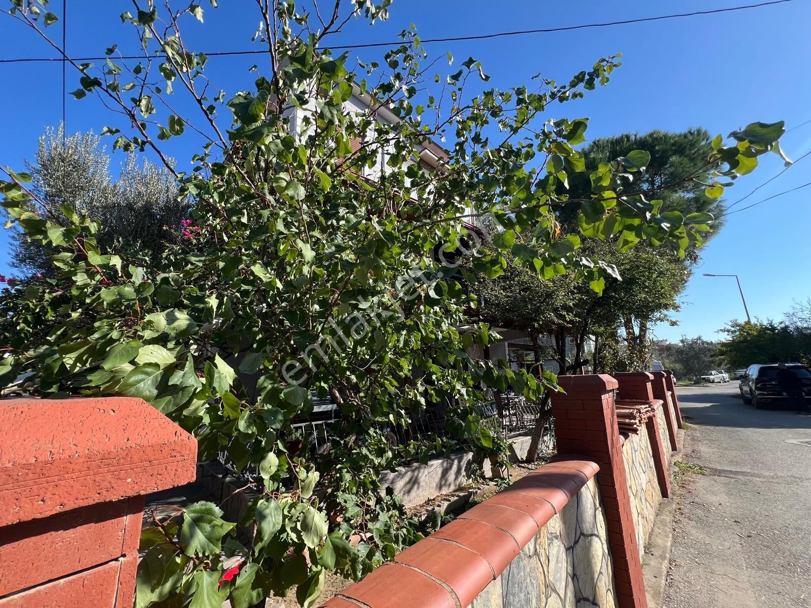 Seferihisar Doğanbey Bölgesinde - Görsel 14