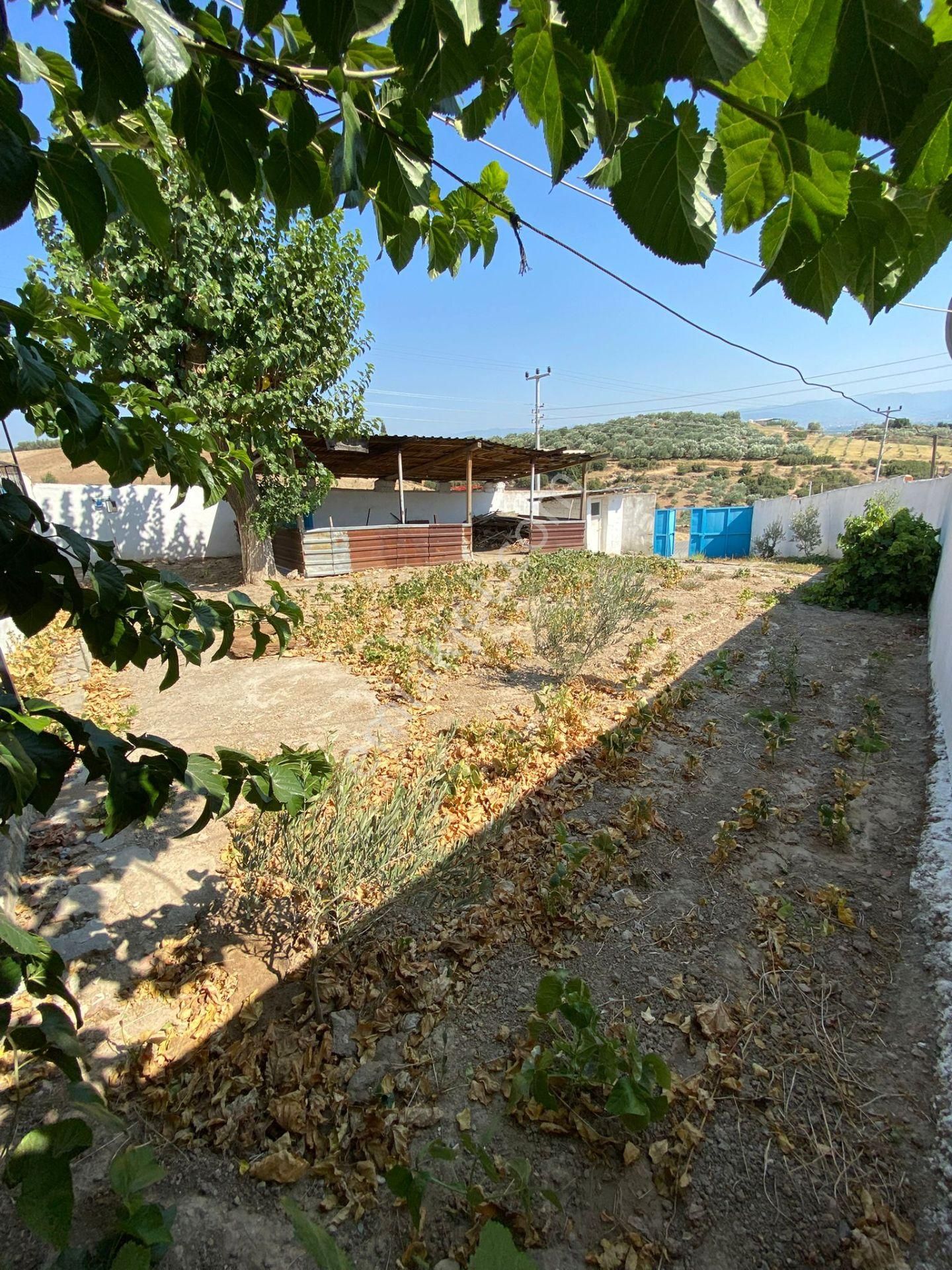 Ağabey Gayrimenkul Den Hobi Bahçesi Yapımına Uygun Arazi - Görsel 3