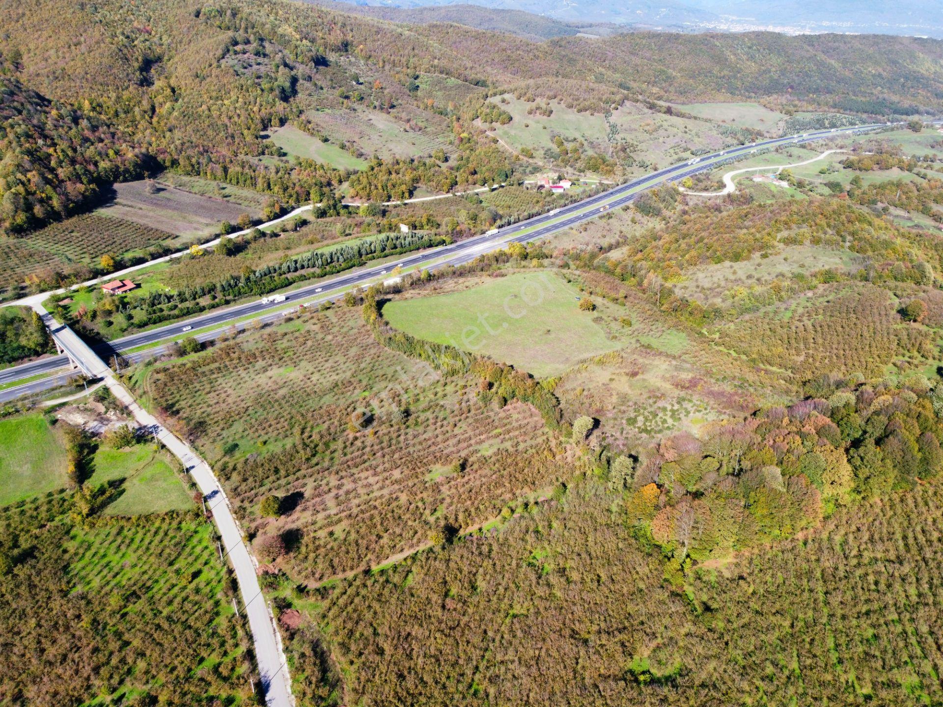 Hak Emlak'tan Anadolu Otoyolu Cepheli 44.750 M² Satılık Arazi - Görsel 20