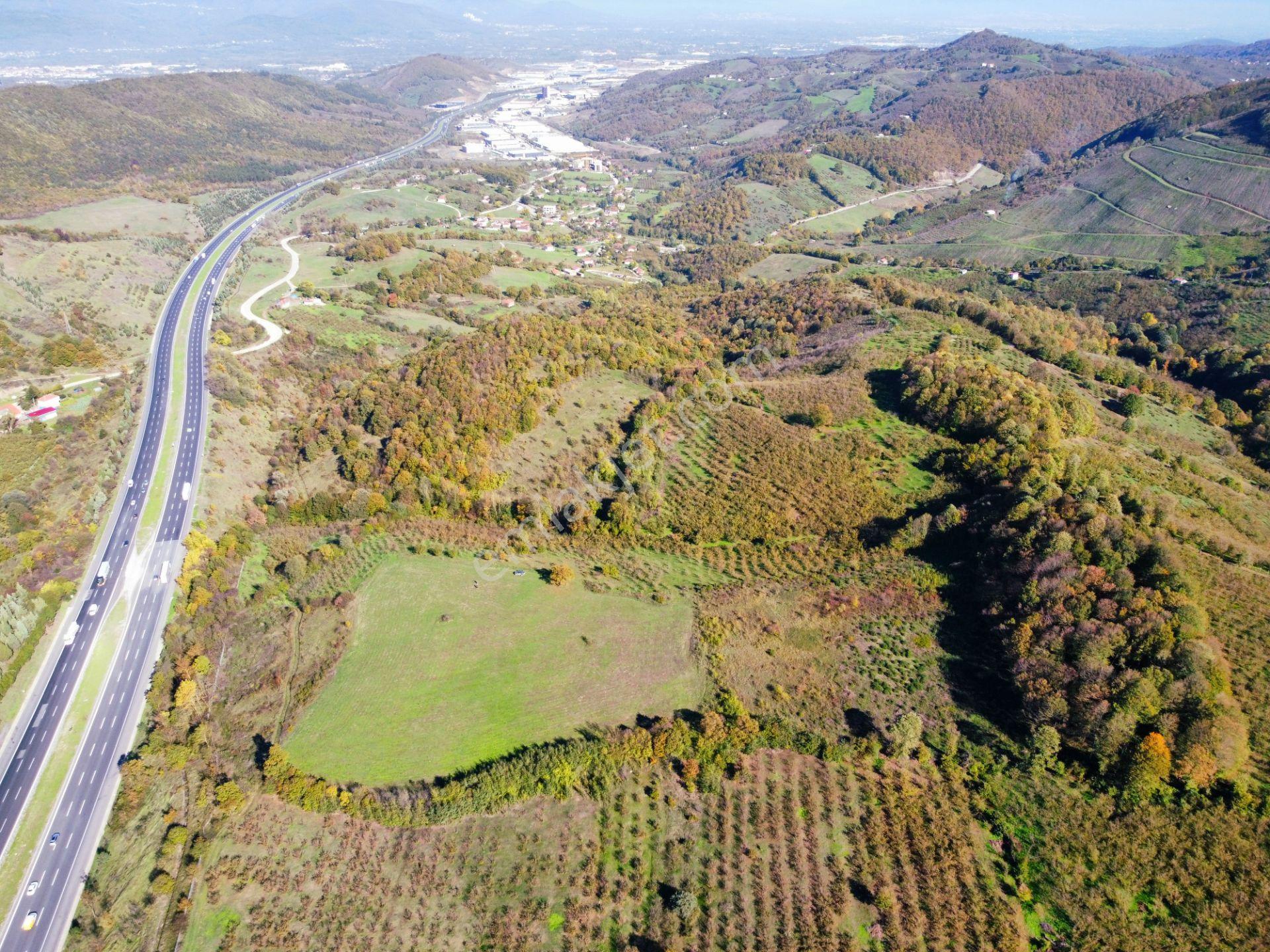 Hak Emlak'tan Anadolu Otoyolu Cepheli 44.750 M² Satılık Arazi - Görsel 24