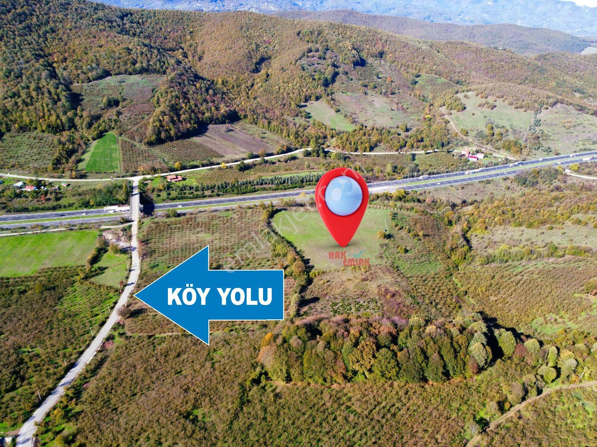 Hak Emlak'tan Anadolu Otoyolu Cepheli 44.750 M² Satılık Arazi - Görsel 8