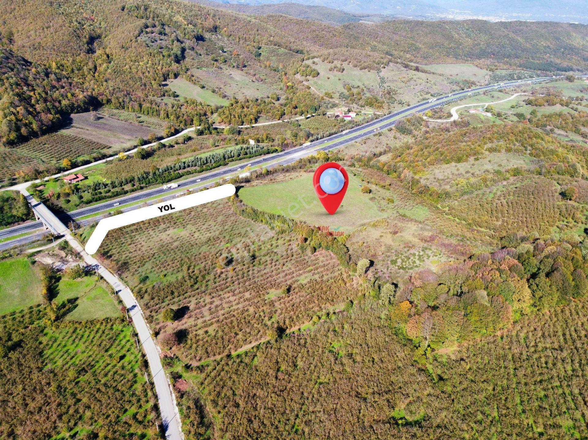 Hak Emlak'tan Anadolu Otoyolu Cepheli 44.750 M² Satılık Arazi - Görsel 18