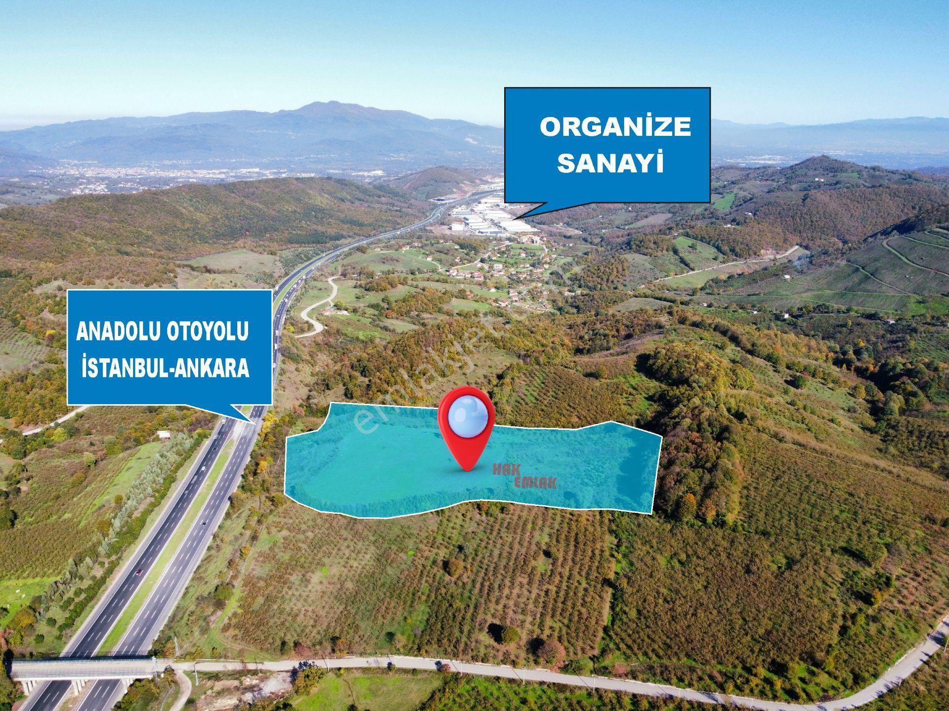Hak Emlak'tan Anadolu Otoyolu Cepheli 44.750 M² Satılık Arazi - Görsel 3