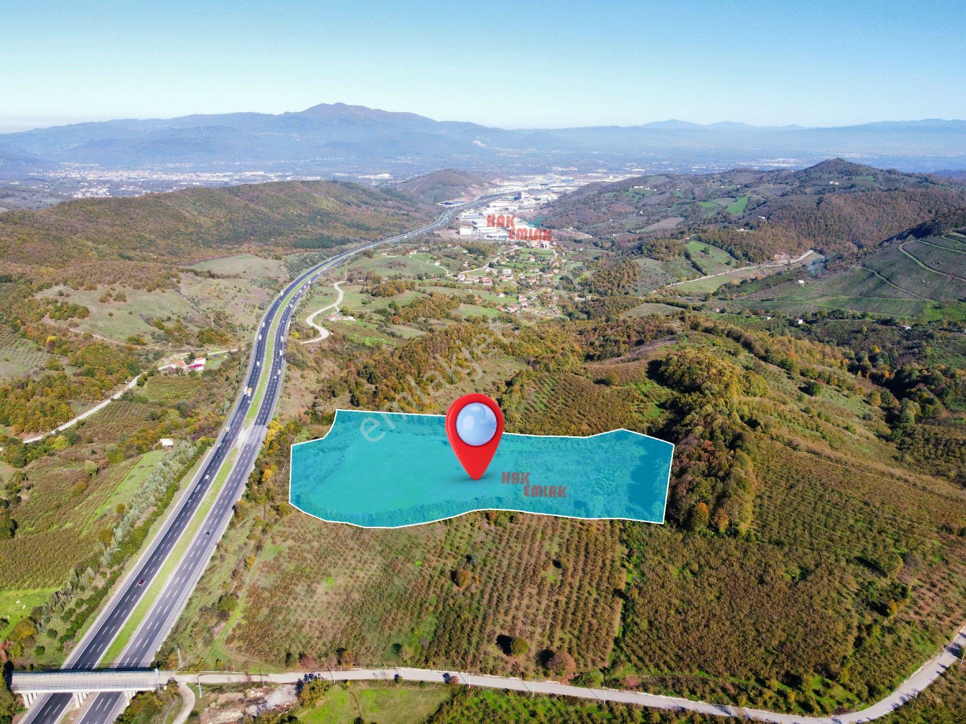 Hak Emlak'tan Anadolu Otoyolu Cepheli 44.750 M² Satılık Arazi - Görsel 6