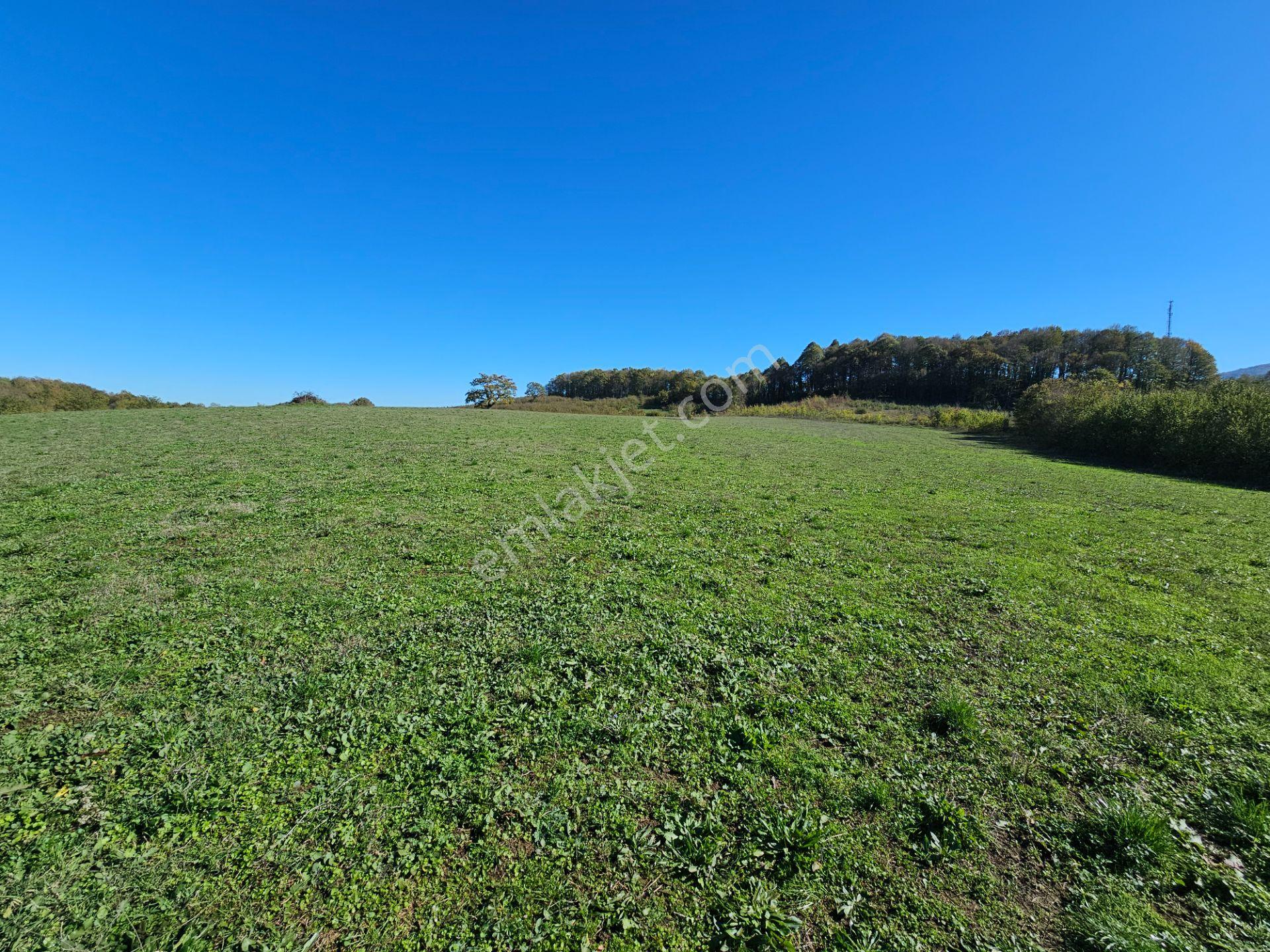 Hak Emlak'tan Anadolu Otoyolu Cepheli 44.750 M² Satılık Arazi - Görsel 7