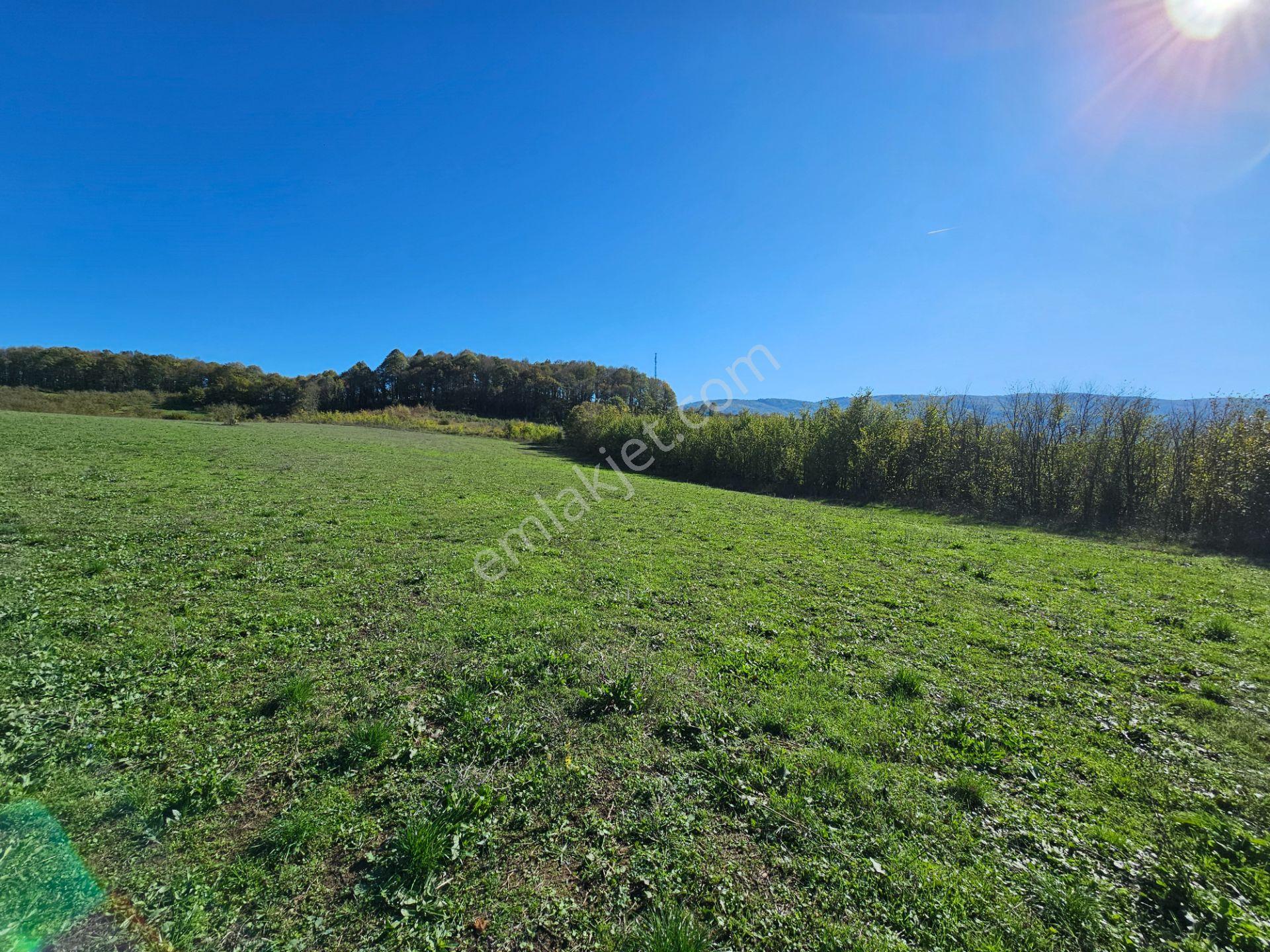 Hak Emlak'tan Anadolu Otoyolu Cepheli 44.750 M² Satılık Arazi - Görsel 10