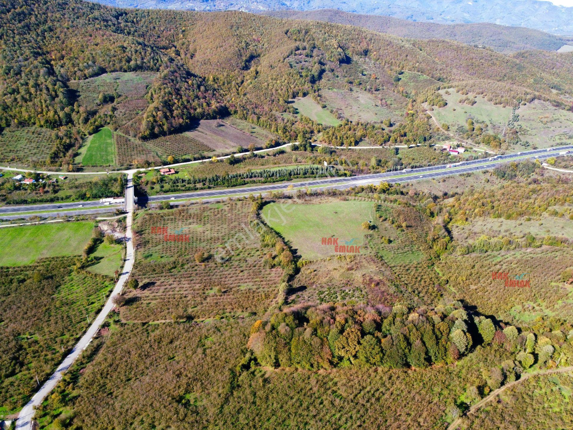 Hak Emlak'tan Anadolu Otoyolu Cepheli 44.750 M² Satılık Arazi - Görsel 13