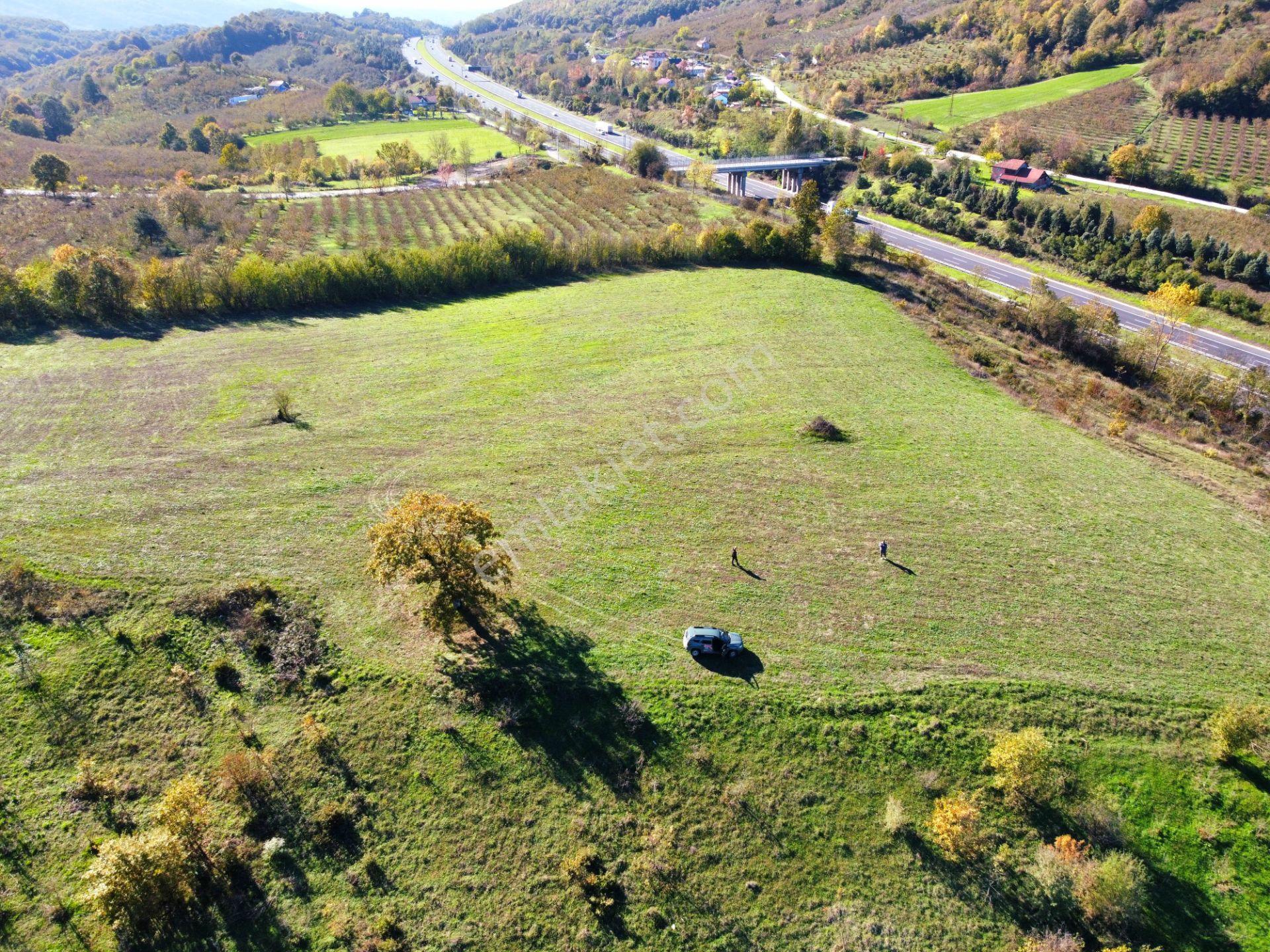Hak Emlak'tan Anadolu Otoyolu Cepheli 44.750 M² Satılık Arazi - Görsel 19