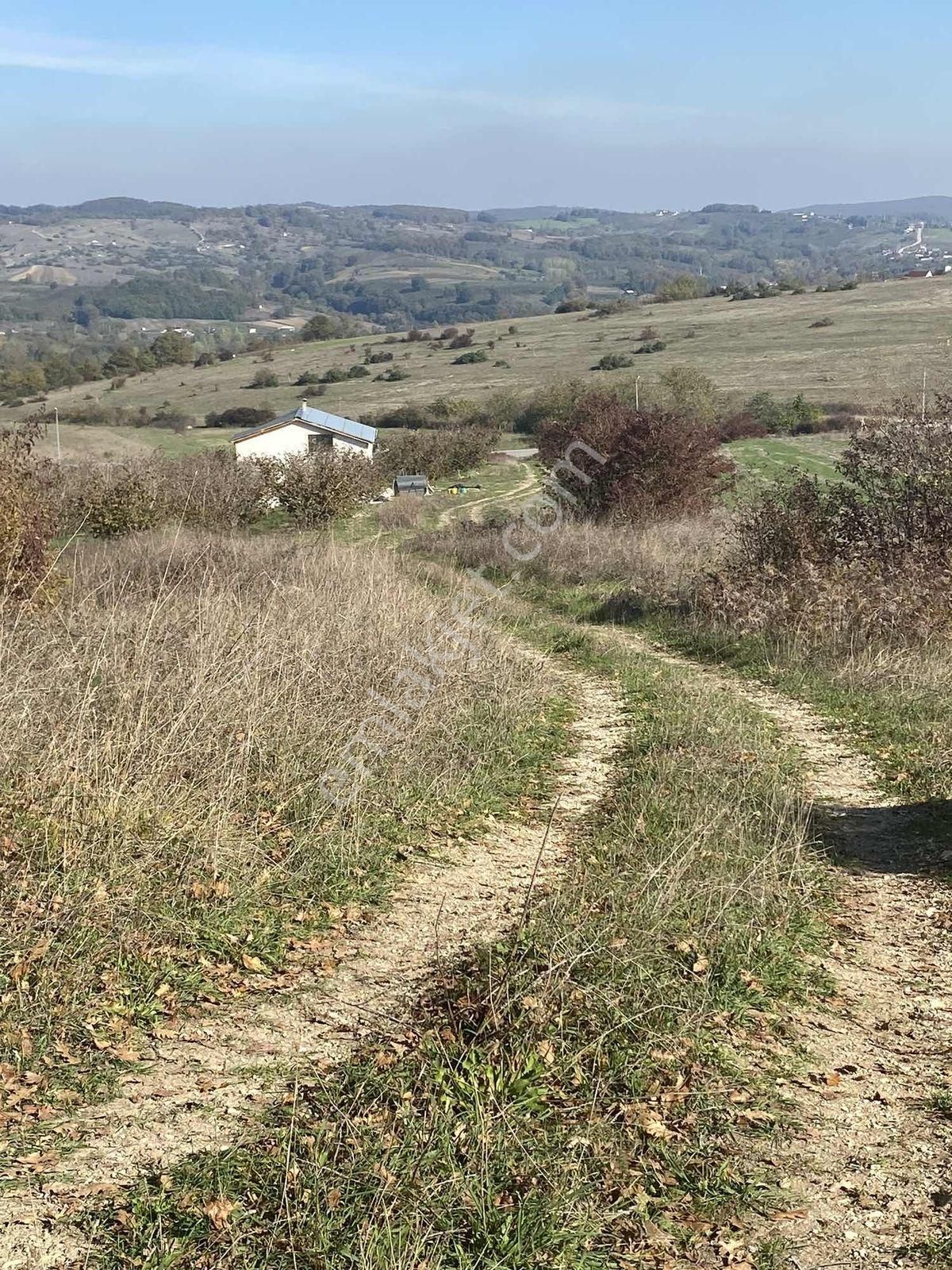 Vadi Gayrimenkul Den Kupon Arazi - Görsel 2