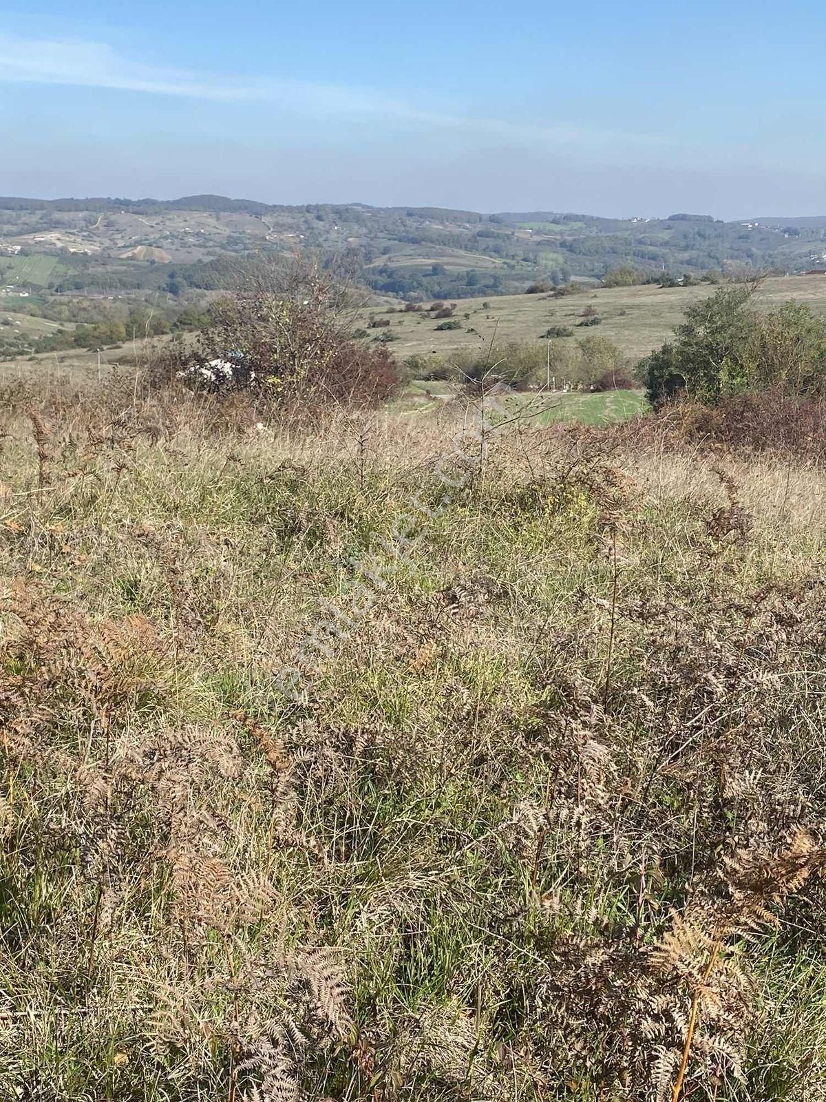 Vadi Gayrimenkul Den Kupon Arazi - Görsel 7