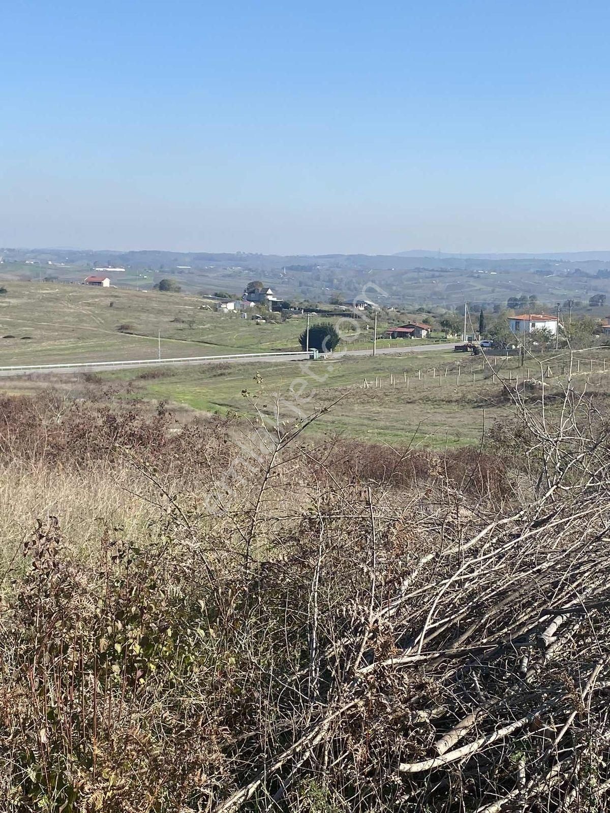 Vadi Gayrimenkul Den Kupon Arazi - Görsel 5