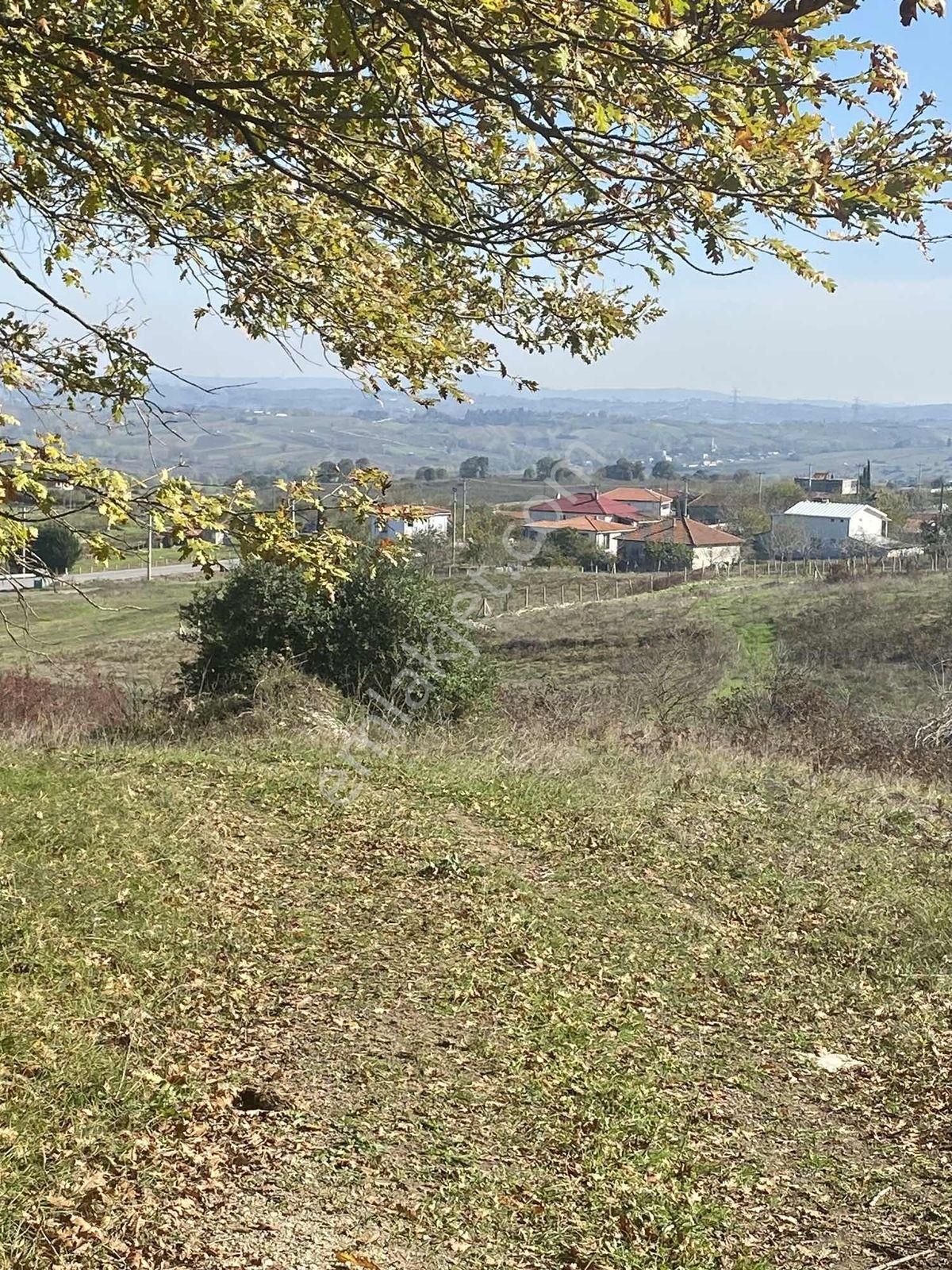 Kandıra Ağaçağıl Da Asfalta Yakın Kupon Arazi - Görsel 10
