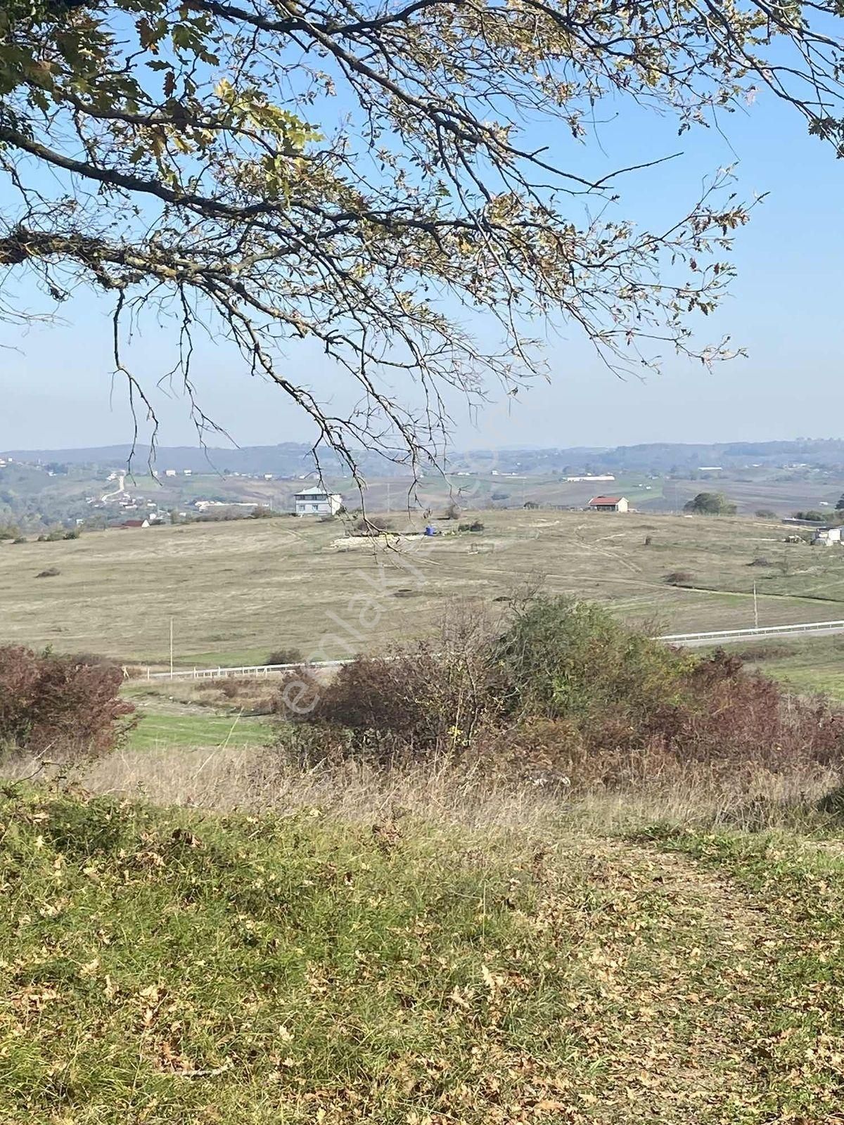 Kandıra Ağaçağıl Da Asfalta Yakın Kupon Arazi - Görsel 4