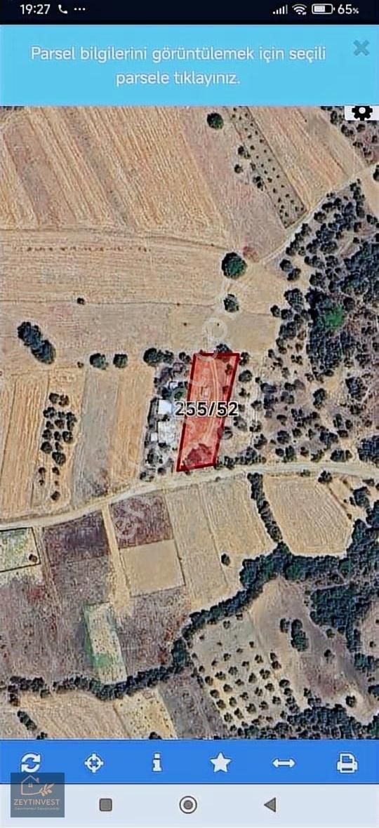 Antalya Döşemealtı Killik 1150 M2 Tarla