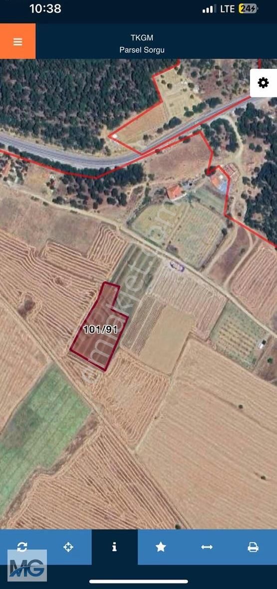 Aksekı Cevızlı De Konumu Güzel Tek Tapu Tarla