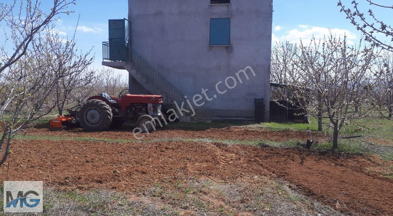 Mg Emlak Tan Satılık Meyve Bahçesi. - Görsel 6