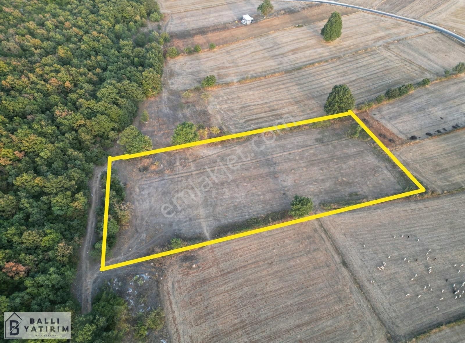 Ballı Yatırım'dan Unçukurunda 6883 M2 Tek Tapu Yol Var - Görsel 5