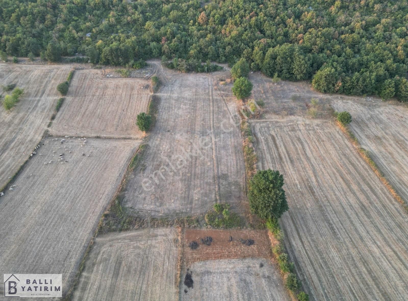 Ballı Yatırım'dan Unçukurunda 6883 M2 Tek Tapu Yol Var - Görsel 3
