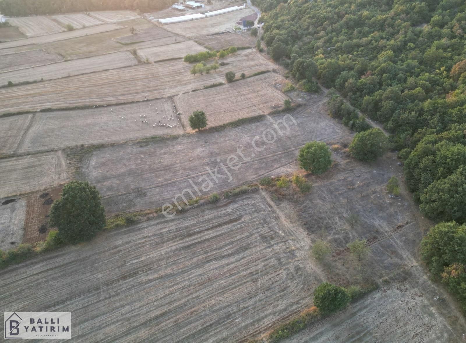 Ballı Yatırım'dan Unçukurunda 6883 M2 Tek Tapu Yol Var - Görsel 6