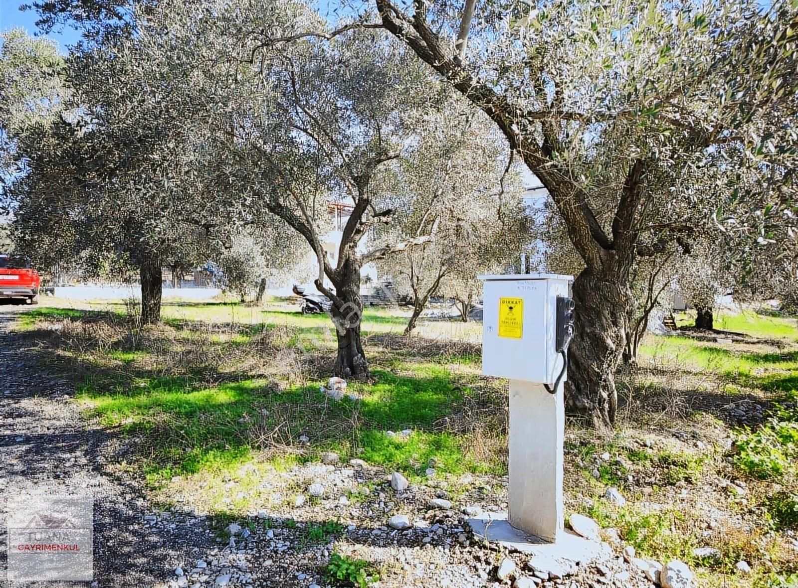 Tuana'dan Zeytinalanın'da Ful Göl Manzaralı 4+1 Müstakil Ev - Görsel 20