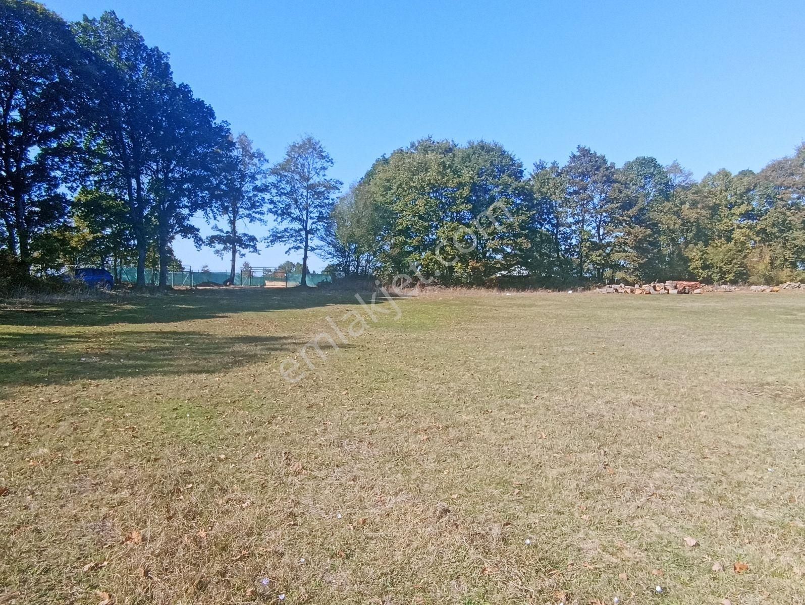 Bursa M.kemalpaşa Kazanpınar'da İmara Sınır 1.200m2 Hobi Bahçesi - Görsel 8