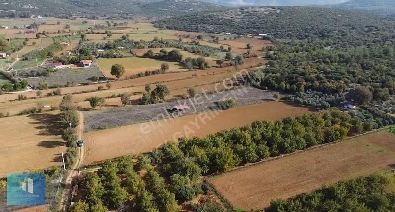 Sky'dan Muğla Menteşe'de Güzel Konumda 6,079 M2 Satılık Arazi - Görsel 13