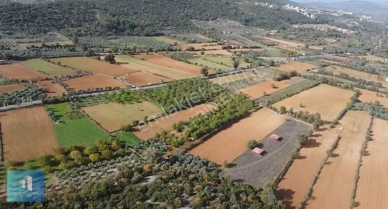 Sky'dan Muğla Menteşe'de Güzel Konumda 6,079 M2 Satılık Arazi - Görsel 10