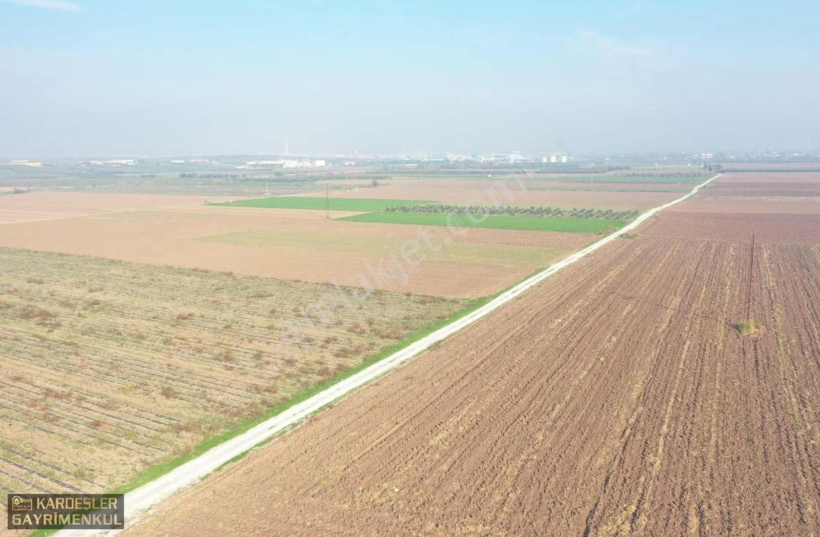 Kayalıoğlunda Satılık Tek Tapu Resmi Yol Cepheli Zeytinlik - Görsel 4