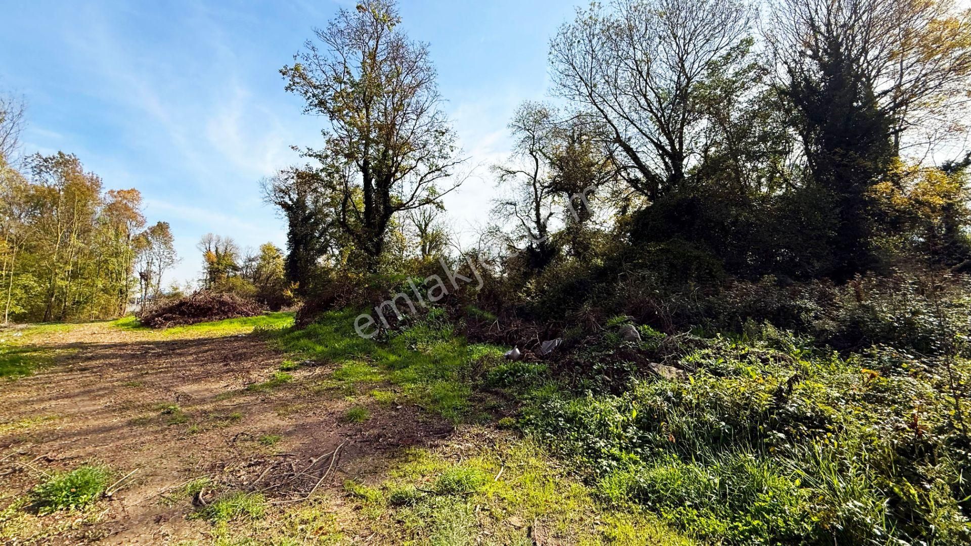 Gümüşova / Adaköy'de D100'e Yakın 11.906 M2 Sanayi Arasası - Görsel 8