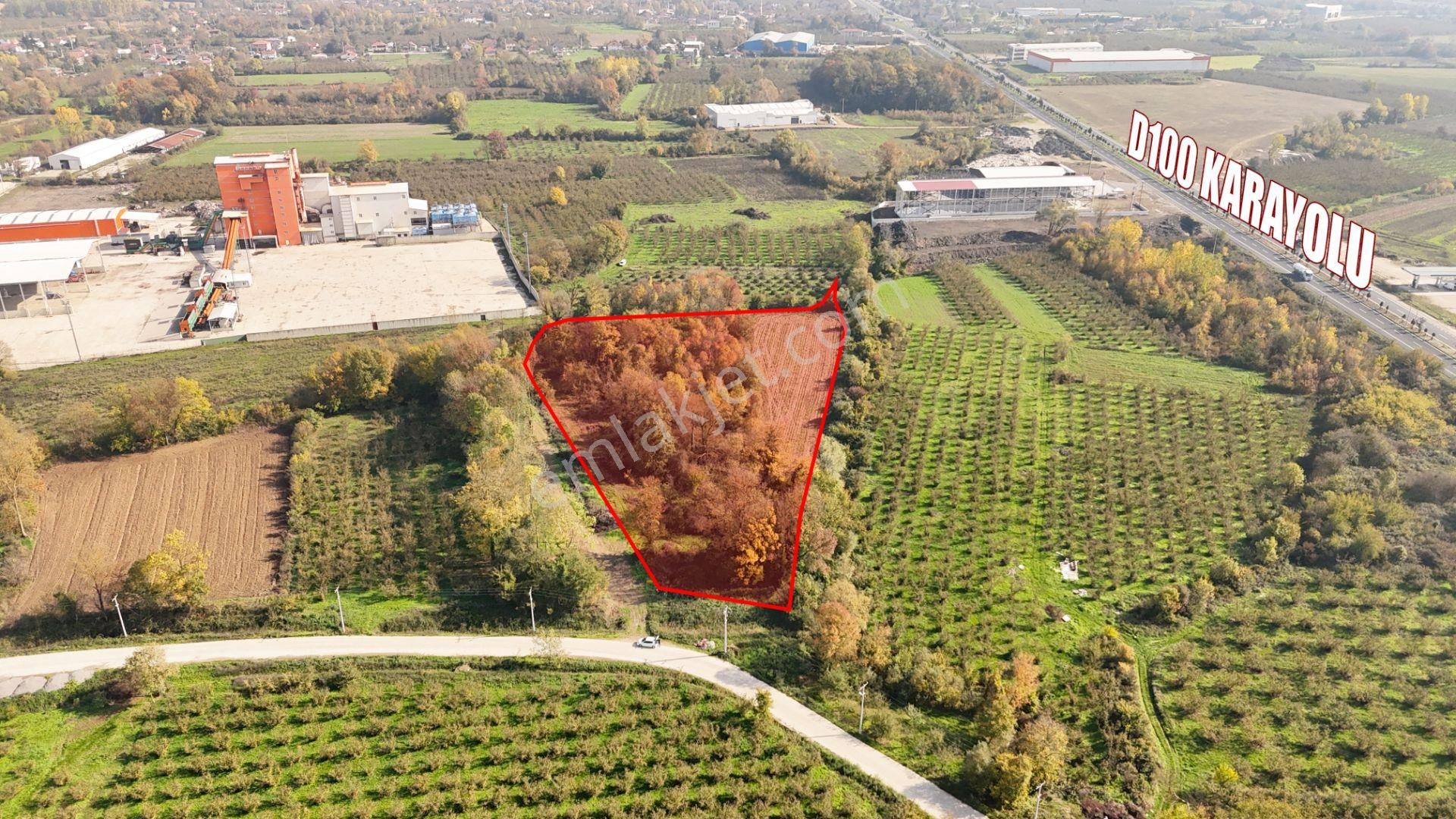 Gümüşova / Adaköy'de D100'e Yakın 11.906 M2 Sanayi Arasası