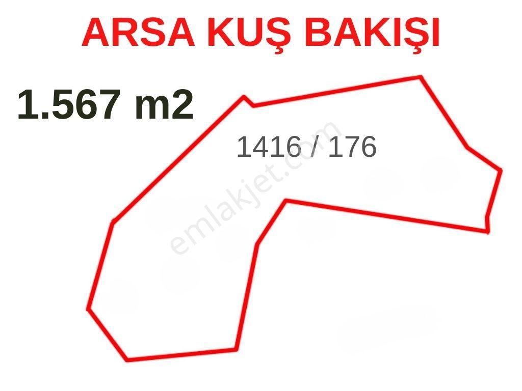 Ayvalık Cunda Ada'sında Satılık Zeytınlık - Görsel 35