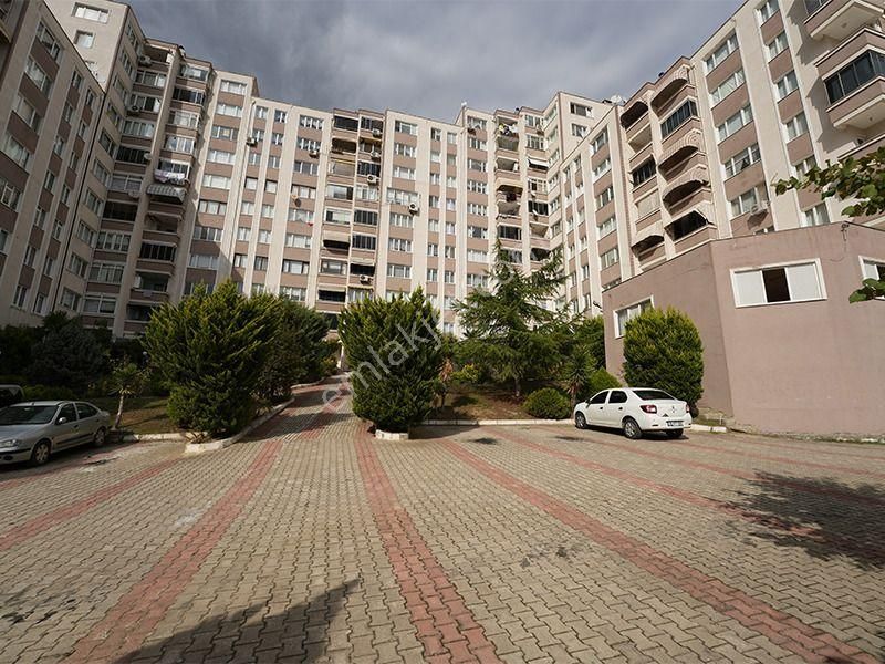 C21 Cius;cumhuriyet Mah. Deniz Manzaralı Kiralık Asansörlü Daire - Görsel 3