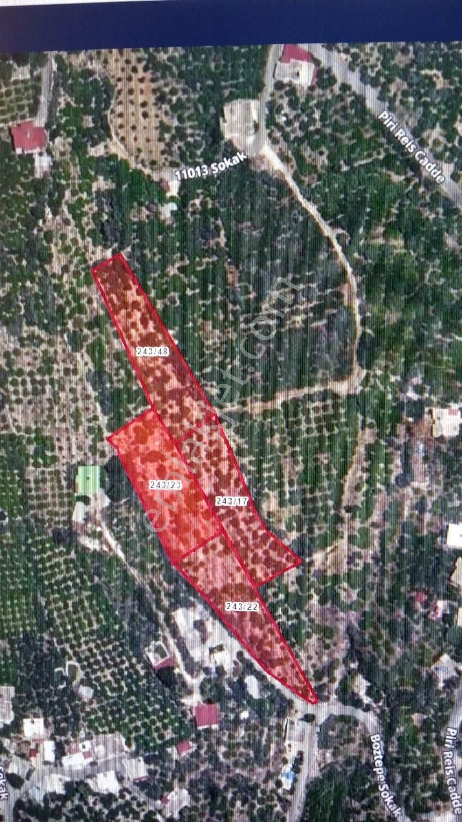 Atabey Group`dan İmarlı Limon Bahçesi