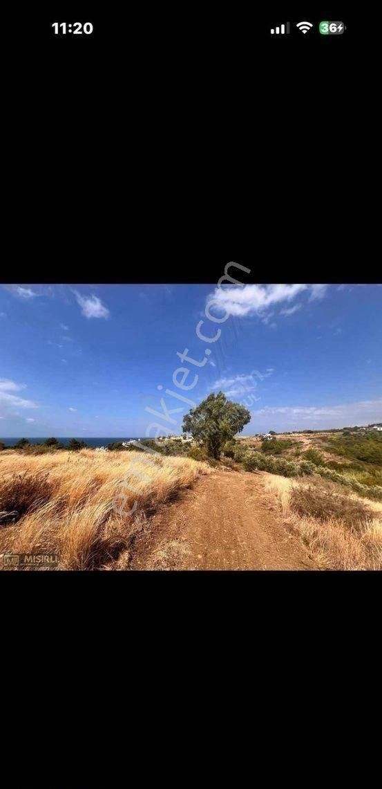 Mısırlı Gayrimenkul'den Satılık Arsuz Tatarlı'da 2.57 M2 Tarla - Görsel 9