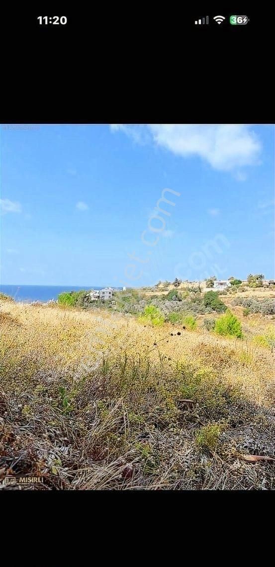 Mısırlı Gayrimenkul'den Satılık Arsuz Tatarlı'da 2.57 M2 Tarla - Görsel 3