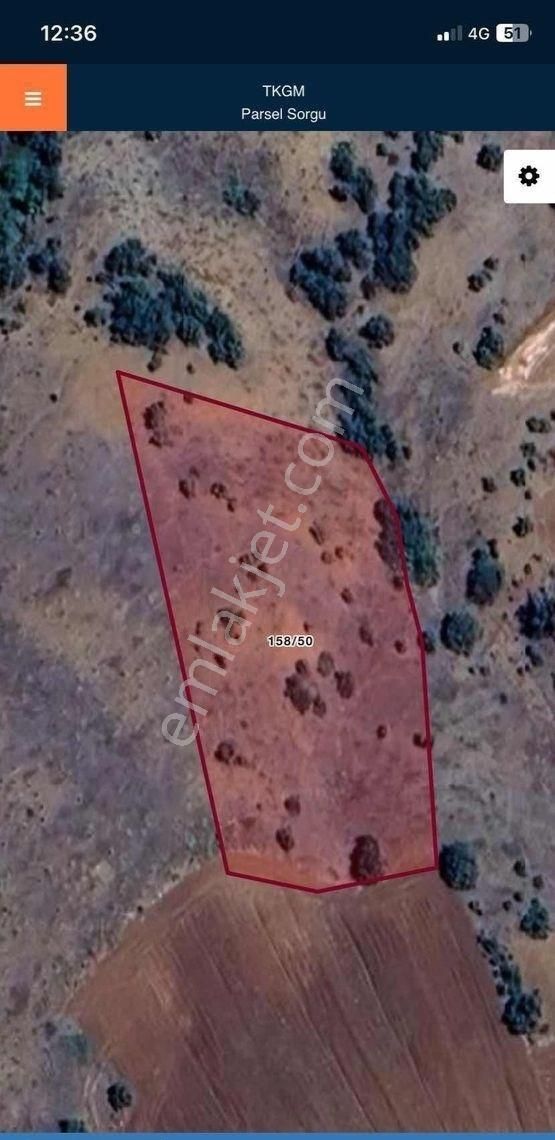 Konya Güneysınır Kayaağzı Mahallesinde Satılık Bağ - Görsel 7