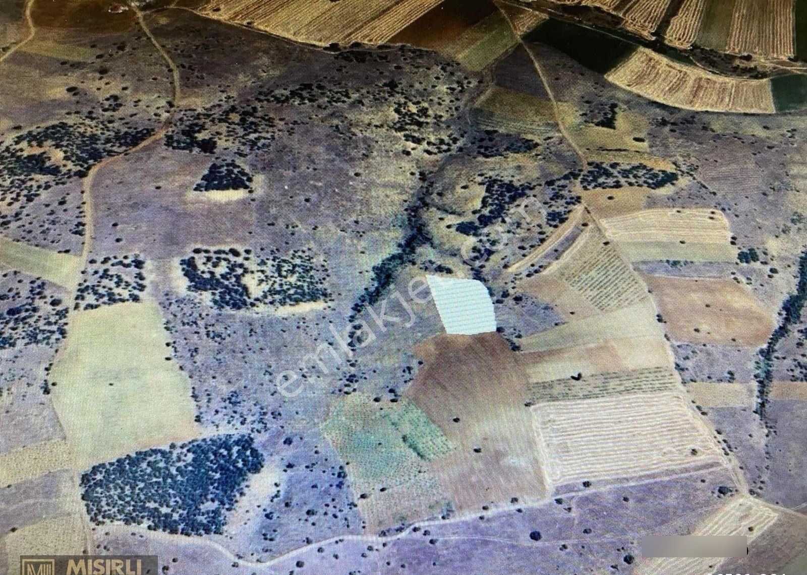 Konya Güneysınır Kayaağzı Mahallesinde Satılık Bağ - Görsel 8