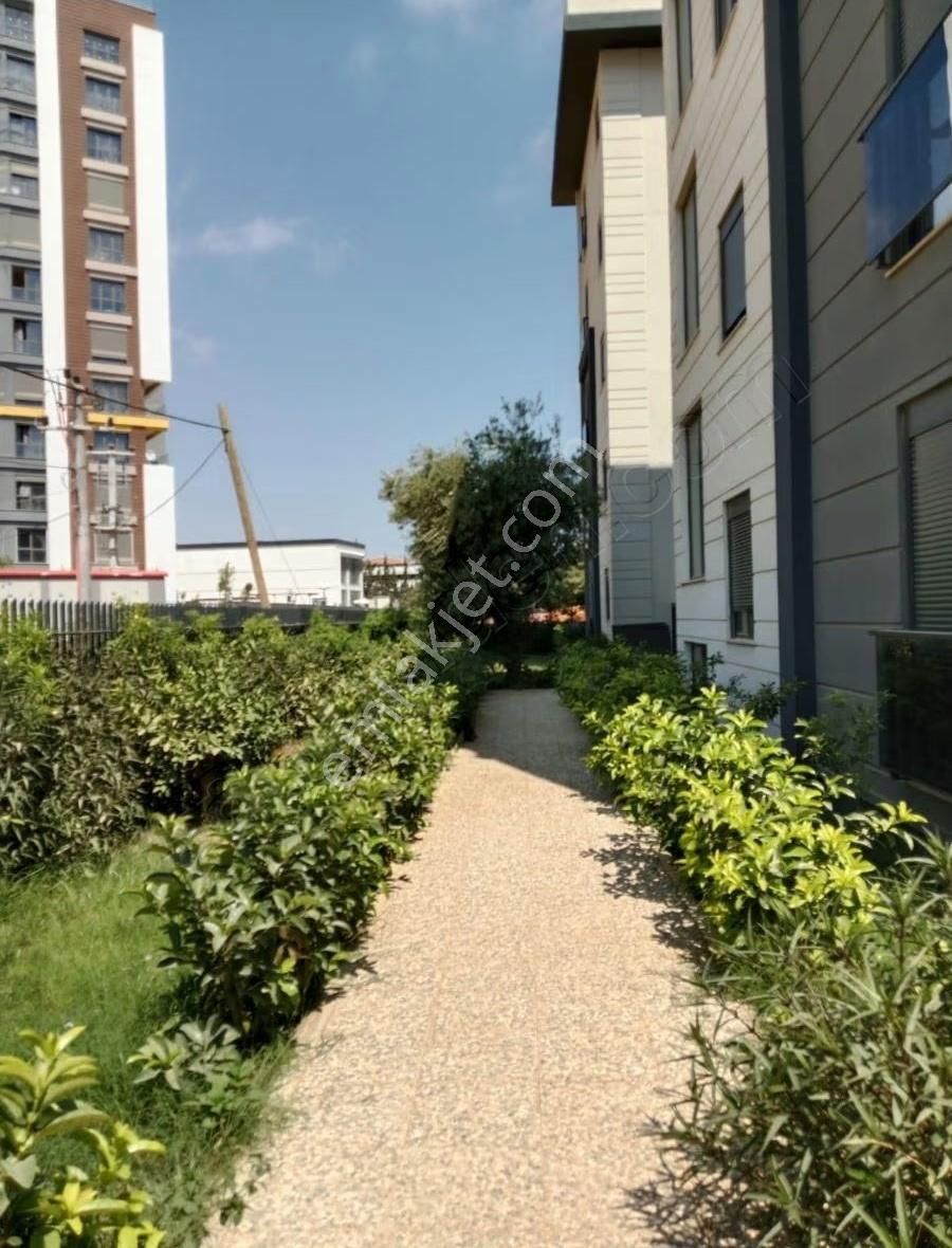 Altıntaşda Uygun 2+1 - Görsel 18