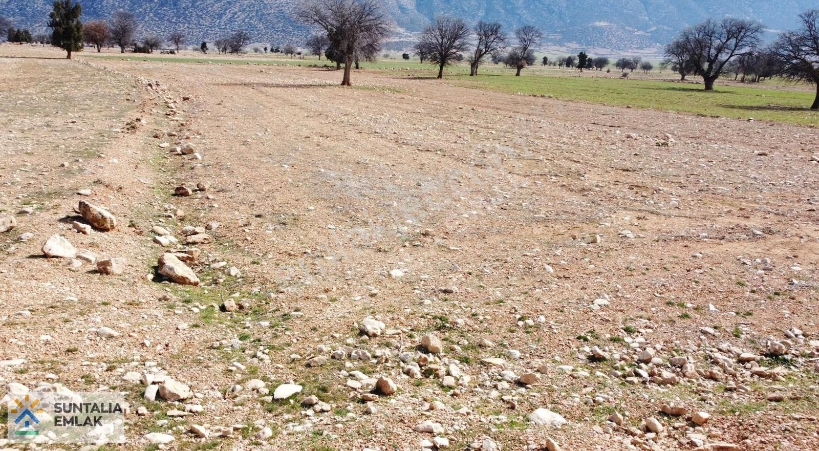 Resmi Yolu Mevcut 2940 M2 Su Hattı Önünde Tek Tapu Tarla - Görsel 3