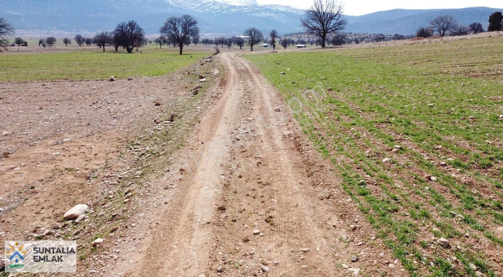 Resmi Yolu Mevcut 2940 M2 Su Hattı Önünde Tek Tapu Tarla - Görsel 5