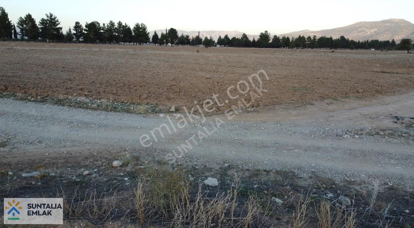 Çomaklının En Güzel Arsası 2282 M2 Köşebaşı Şebeke Suyu Önünde - Görsel 11