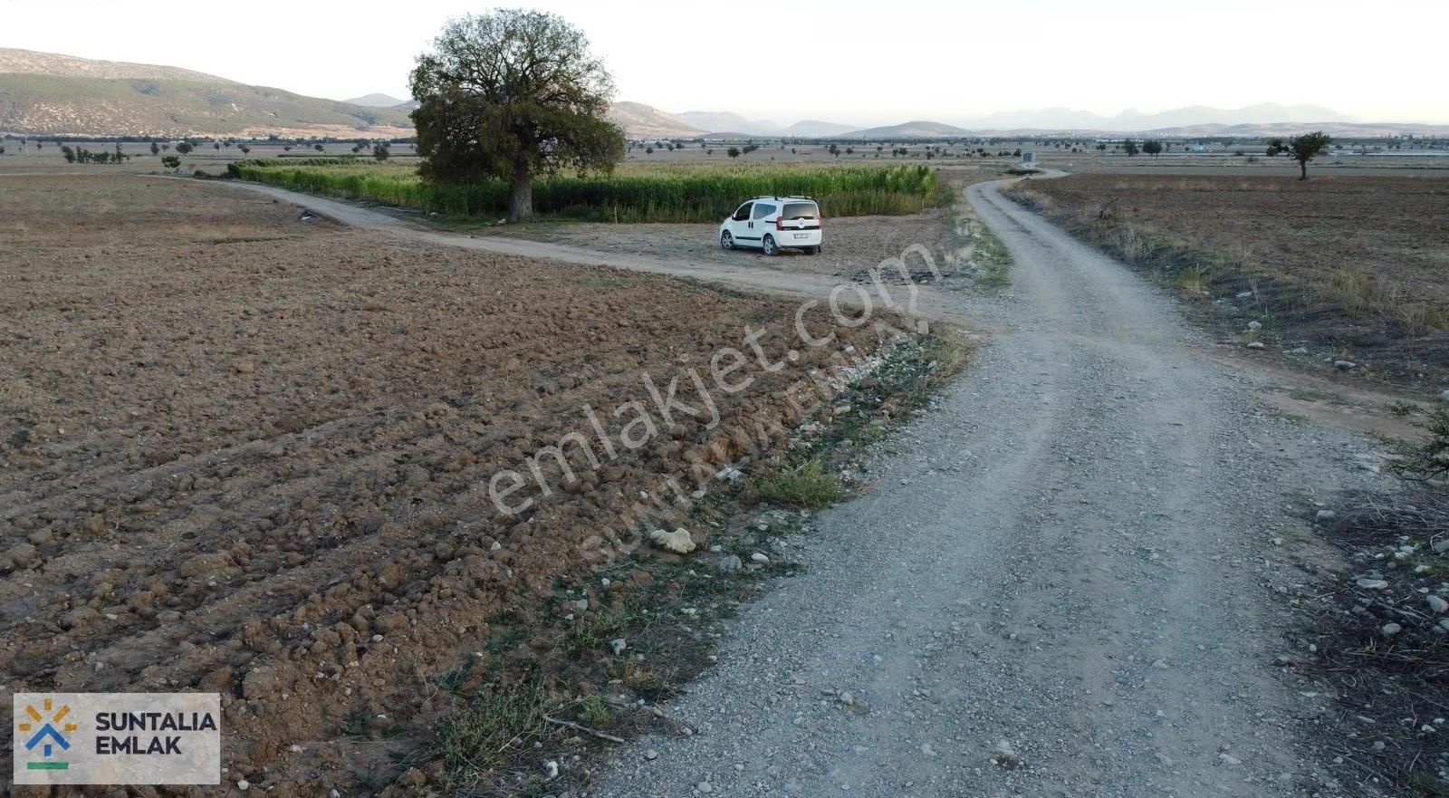 Çomaklının En Güzel Arsası 2282 M2 Köşebaşı Şebeke Suyu Önünde - Görsel 12