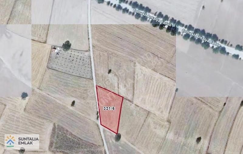 Çomaklının En Güzel Arsası 2282 M2 Köşebaşı Şebeke Suyu Önünde - Görsel 4