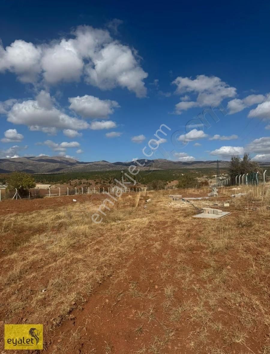 Meram Kızılören Bağlarda Elektrikli Çevrili 7.000 M² Tarla - Görsel 2