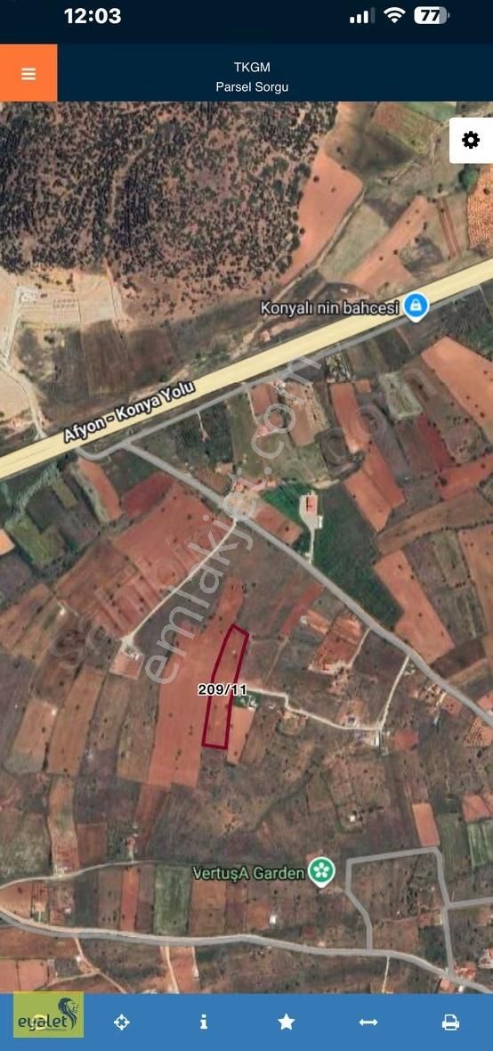 Meram Kızılören Bağlarda Elektrikli Çevrili 7.000 M² Tarla - Görsel 11