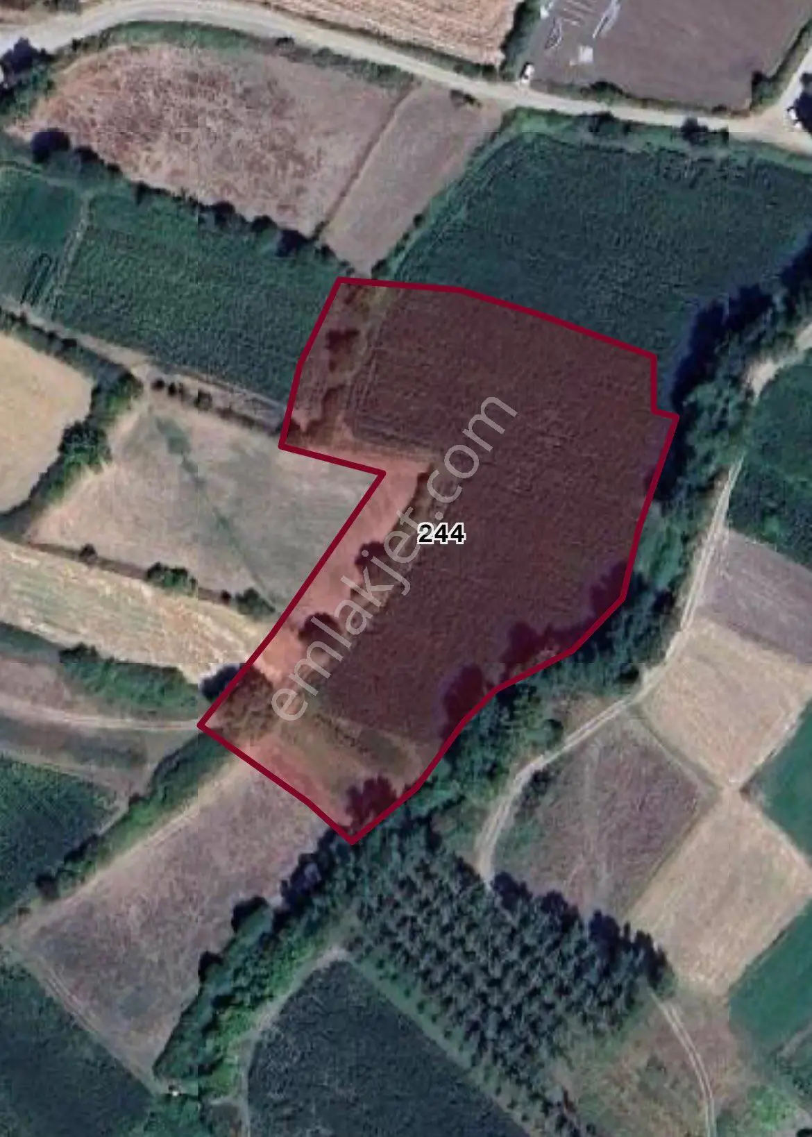 Bm Real Estate Bursa Mustafakemalpaşa’da Satılık Kupon Arazi