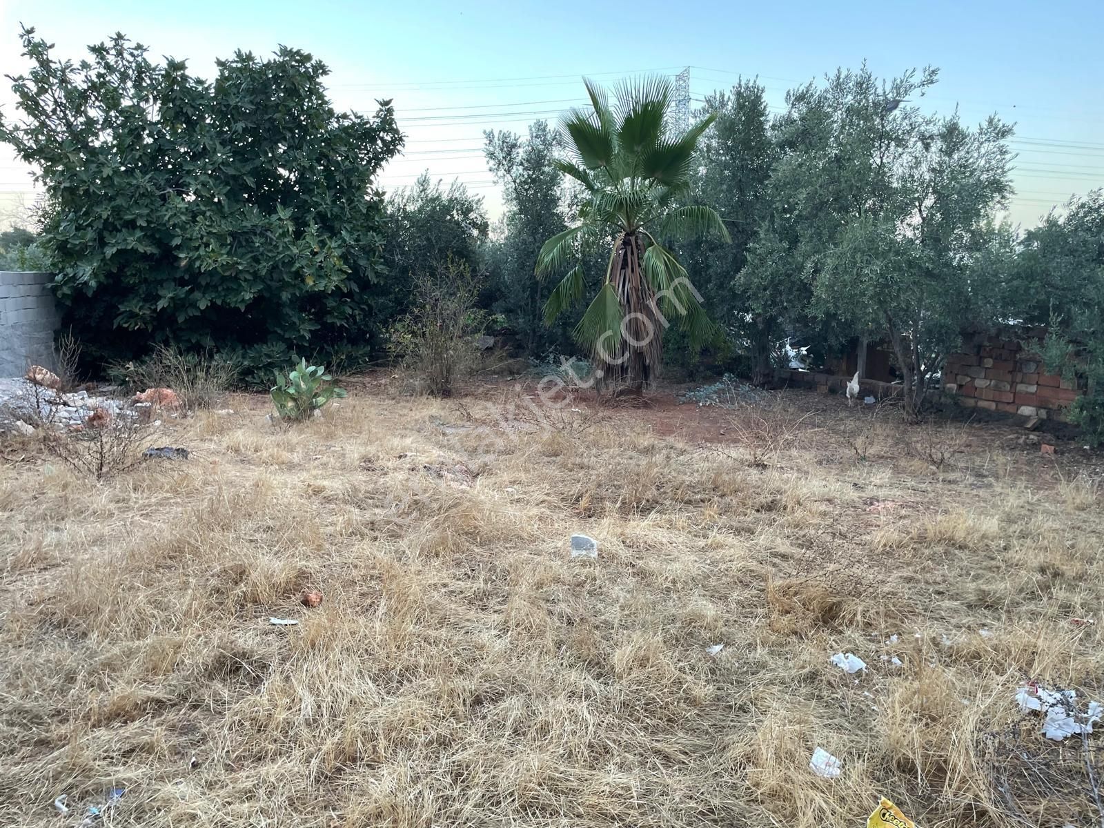 Satılık 3+1 Bahçeli Müstakil Ev Antalya / Kepez / Ünsal Mah. - Görsel 5