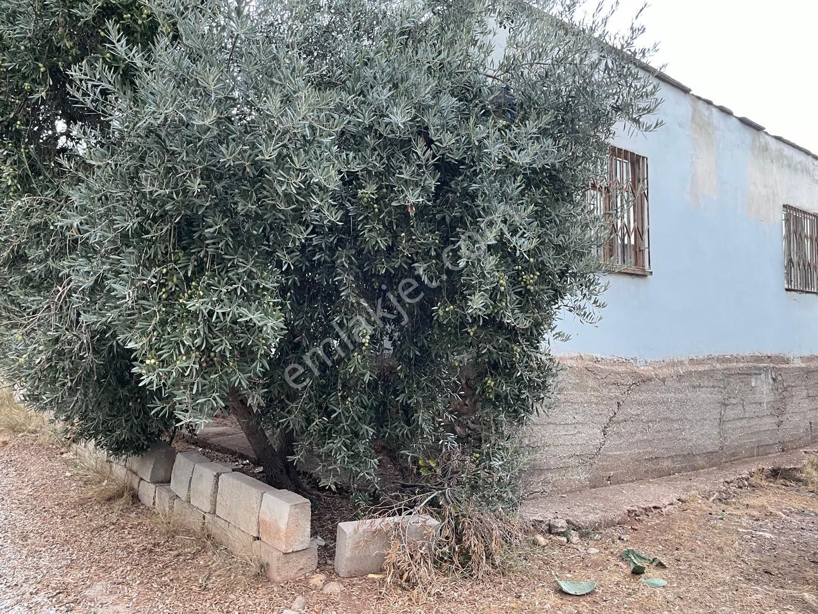 Satılık 3+1 Bahçeli Müstakil Ev Antalya / Kepez / Ünsal Mah. - Görsel 4